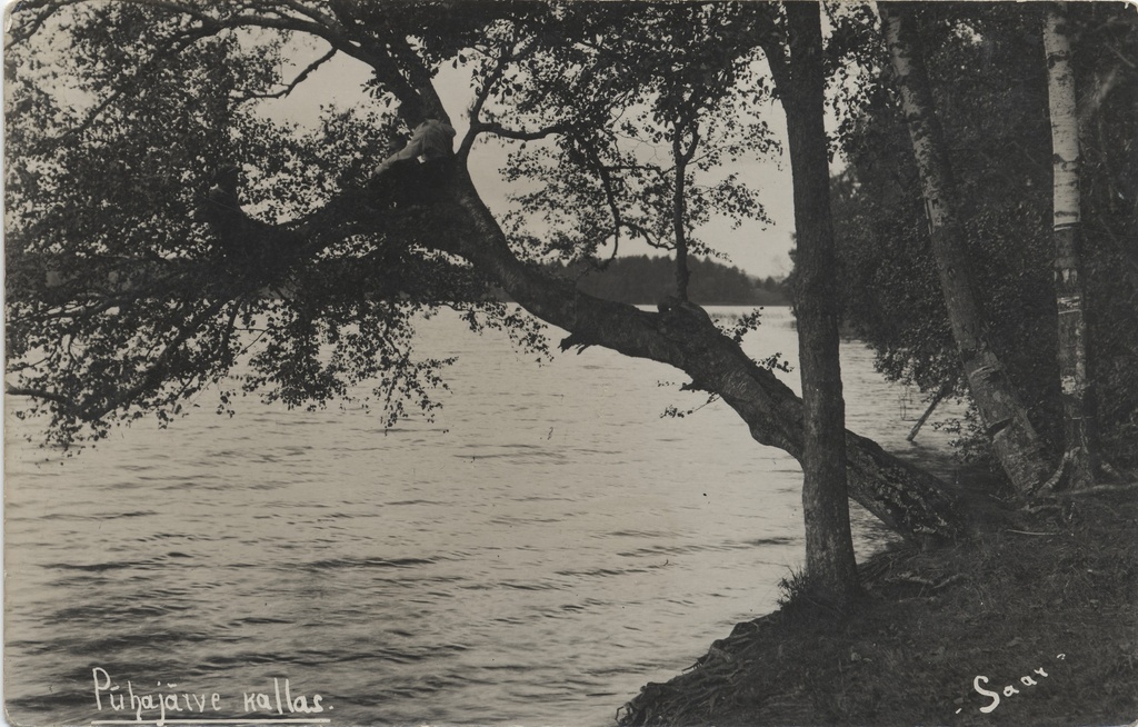On the shore of Pühajärvi