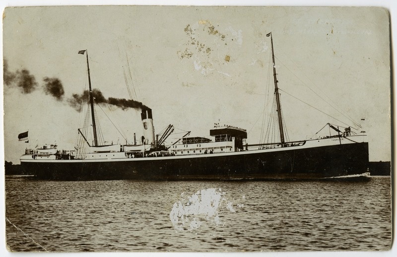 Reisiaurik "Thorsten"