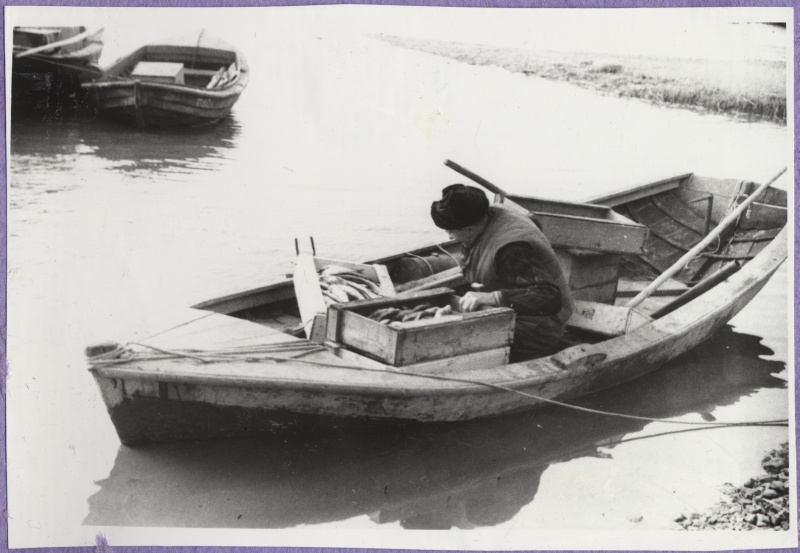 Haapsalu Kalakaitse Inspektsiooni tööst. Mees (arvatavasti kalakaitse inspektor) istumas kalakaste täis sõudepaadis.