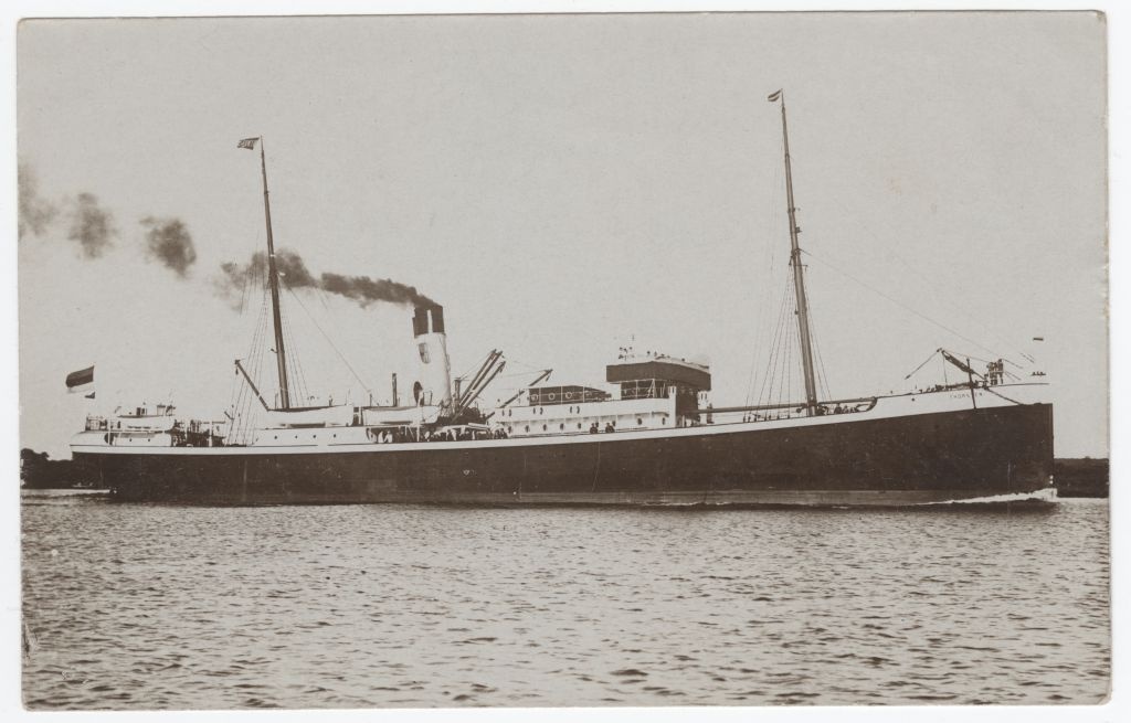 Reisiaurik "Thorsten"
