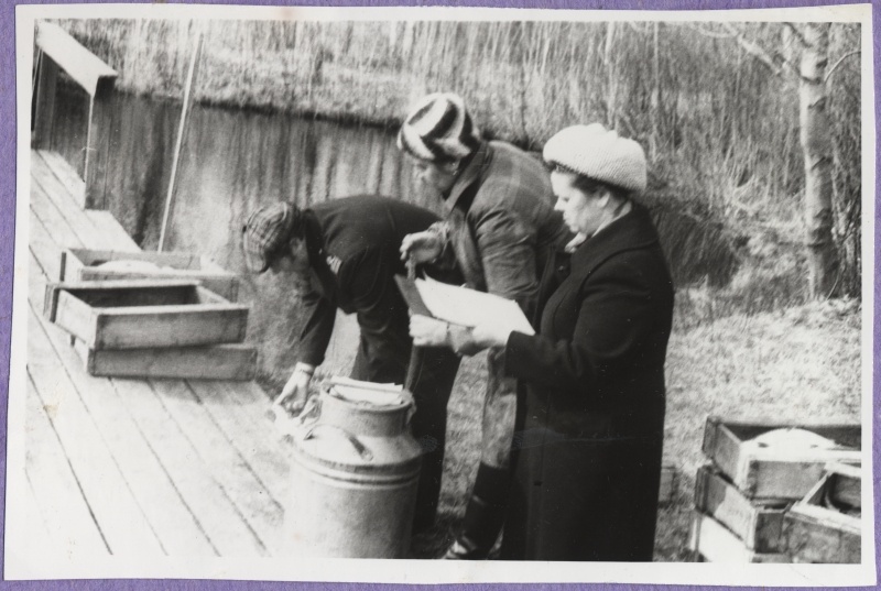 Haapsalu Kalakaitse Inspektsiooni tööst. Kaks naist ja üks meremehe vormis mees mõõtmas midagi. Laual ja selle kõrval kalakastid.