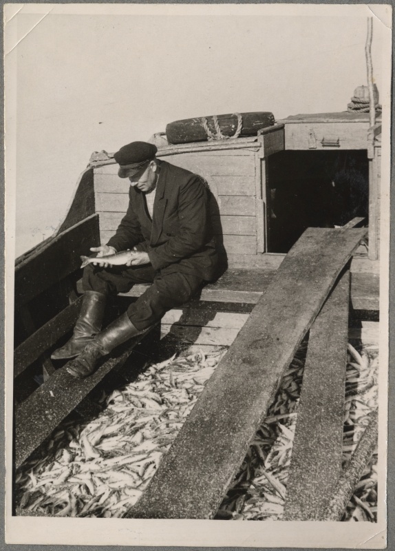 Haapsalu Kalakaitse Inspektsiooni tööst. Mees istumas kalalaevas ja hoidmas käes kala. Laeva põhi on kalu täis.
