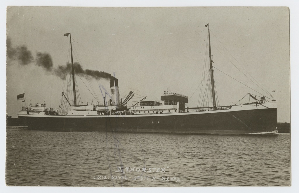 Reisiaurik "Thorsten"