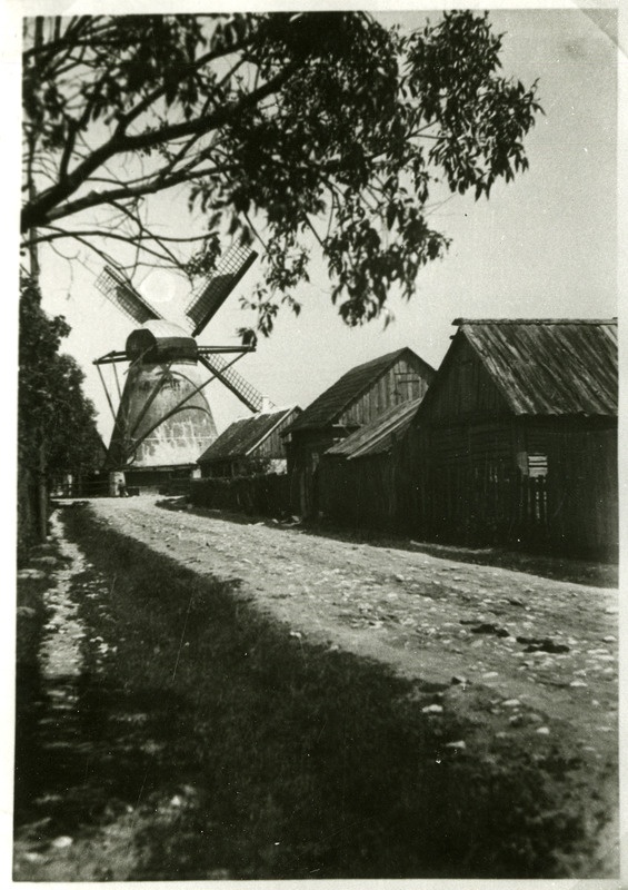 Hollandi tuulik Pärna tänavas