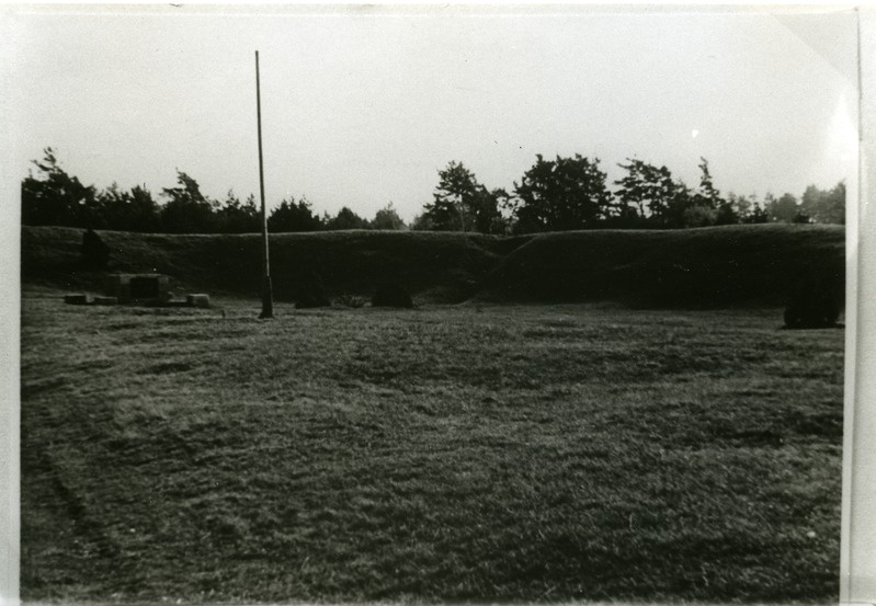 Kaarma maalinna õu