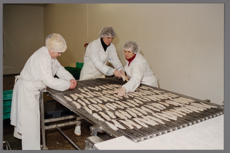 Kalatöötlemisfirma OÜ Vettel: kalafilee seadmine külmutusliinile.