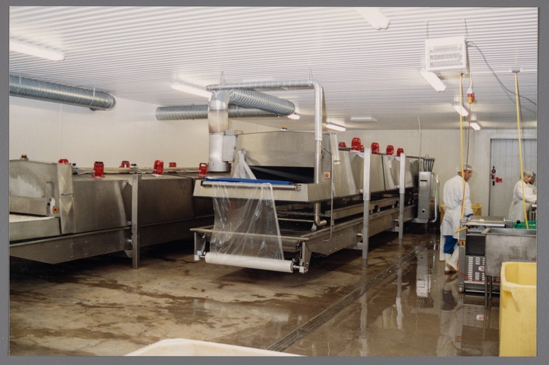 Kalatöötlemisfirma OÜ Vettel: fileekülmutusliinid.