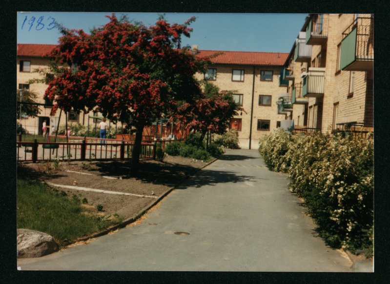 Ränkade koduõu Hässelby's