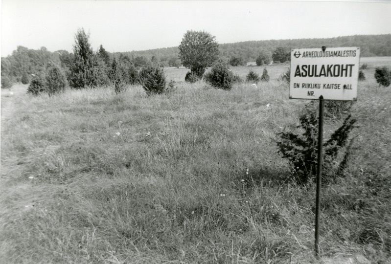 Võhma kiviaja asulakoht.