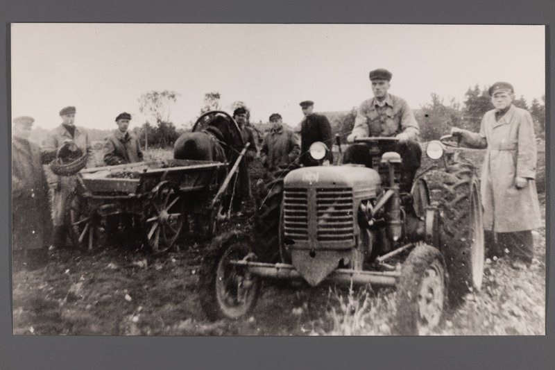Kingissepa Põllumajanduse Mehhaniseerimise Tööstuskool nr. 2 õppe- ja tootmispraktikal majandis 1954.a.