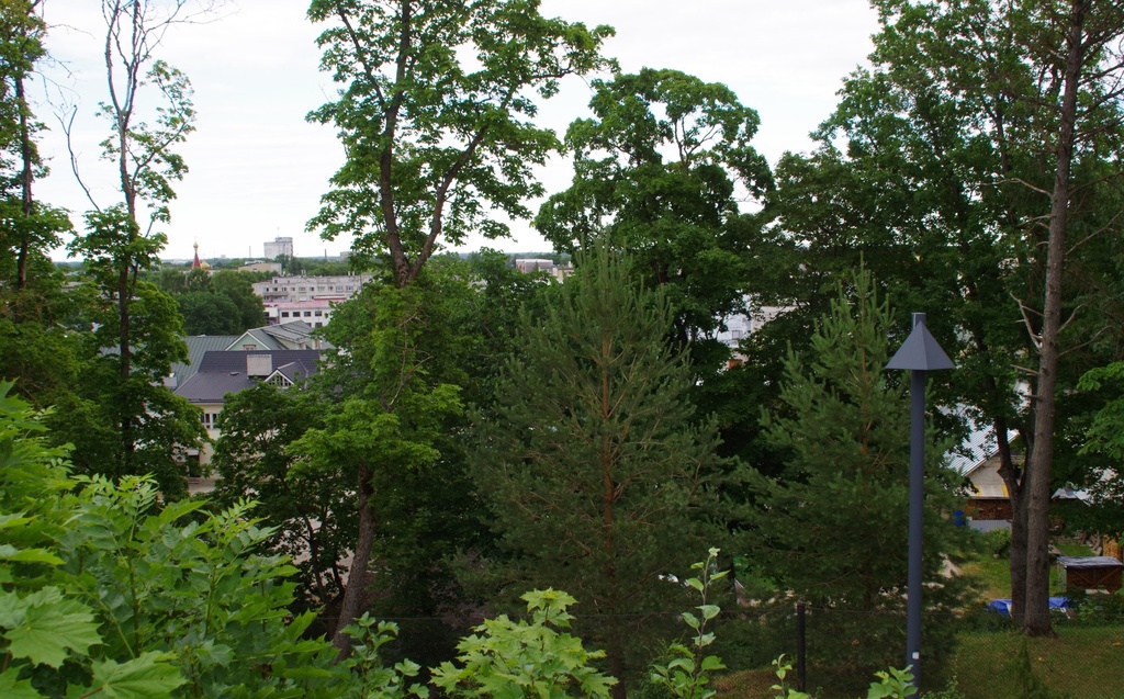 Rakvere, vaade Vallimäelt linnale rephoto
