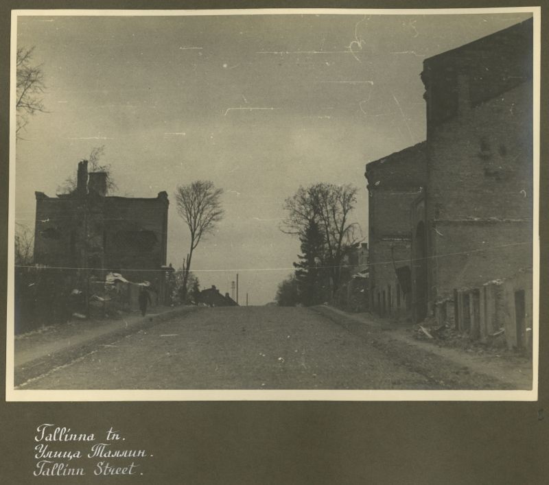 Tallinn Street
