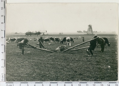Peipsiääre (varem Alatskivi) v., kivikaalujad 1912  duplicate photo