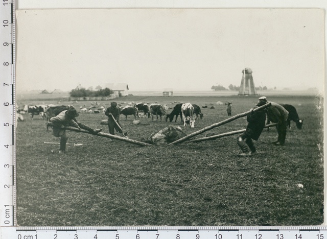 Peipsiääre (varem Alatskivi) v., kivikaalujad 1912