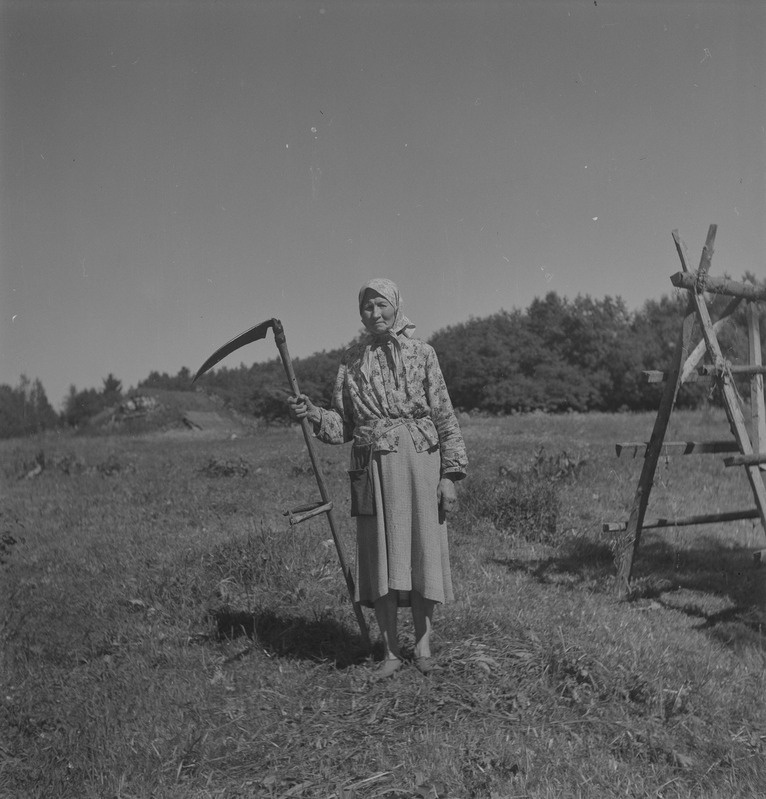 Juuli Vain (69-aastane) tööriietuses, Antoni t, Uduallika k, Pilistvere khk