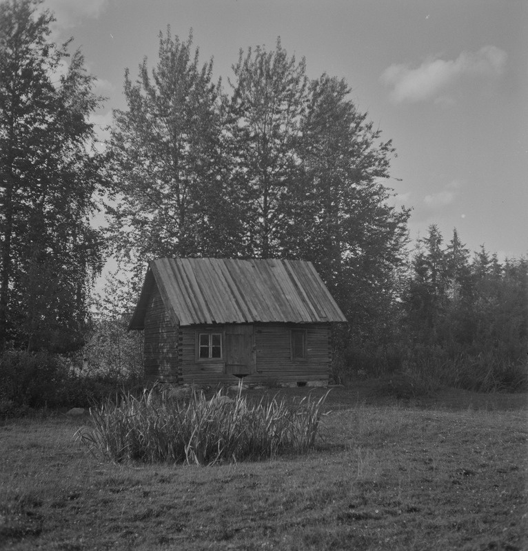 Saun. Teheda t, Maalaste k, Pilistvere khk