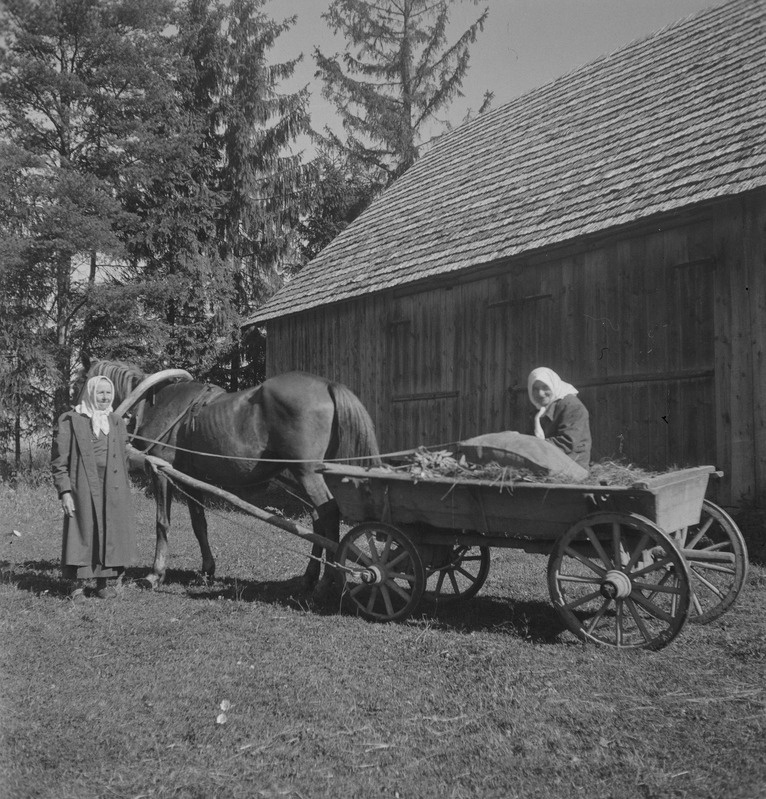 Kolhoosnikud Ann Labida ja Amalie Kunila hobusega Võhma sõitmas, Kõo v, Pilistvere khk