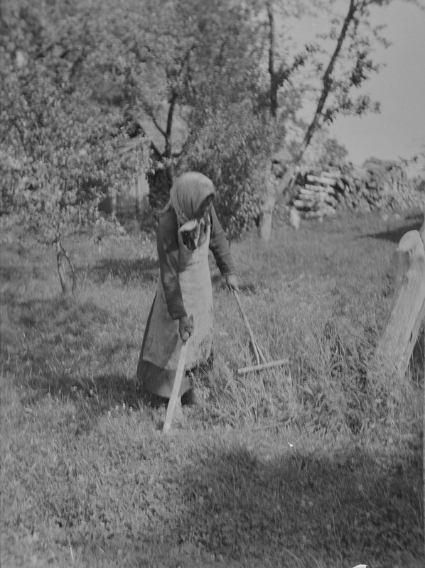 A. Kalej demonstreerib rautsiga lõikamist, Ilseni v, Paikna k