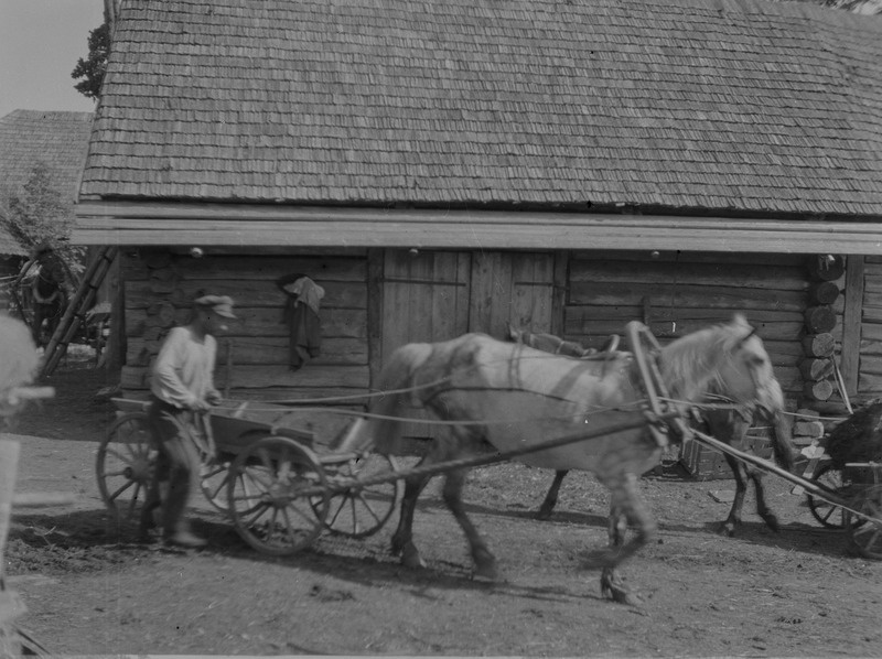 Sõnnikuveo talgud K. Petersoni talus, Ilseni v, Paikna k