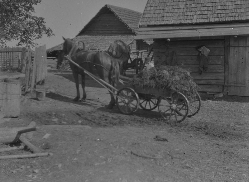 Sõnnikuveo talgud K. Petersoni talus, Ilseni v, Paikna k