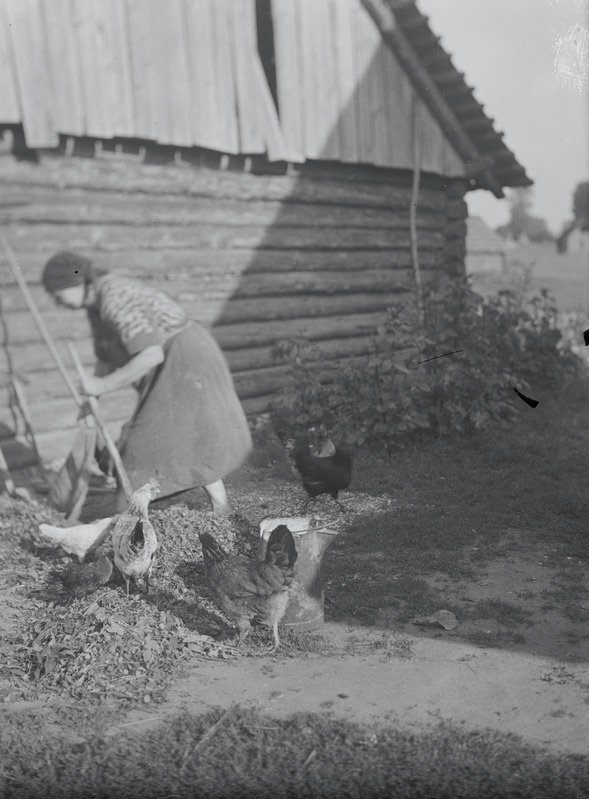 Alide Peterson, Ilzene (Ilsnä) v, Paiķēni (Paikna) k, Läti