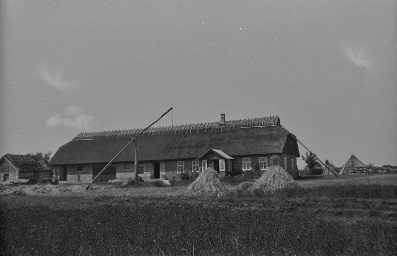 Põllu talu rehealusega taluelamu, Lalli k, Muhu