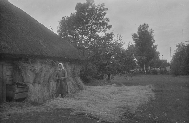 Sidemete tegemine, sidemeõled niiskumas, Sassi t, Lõetsa k, Muhu