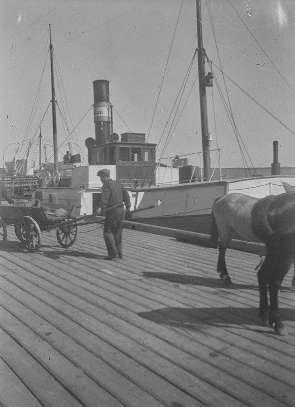 Laeva "Rudolfiga" Kuivastust Virtsu üle toodud kaks hobust vankriga