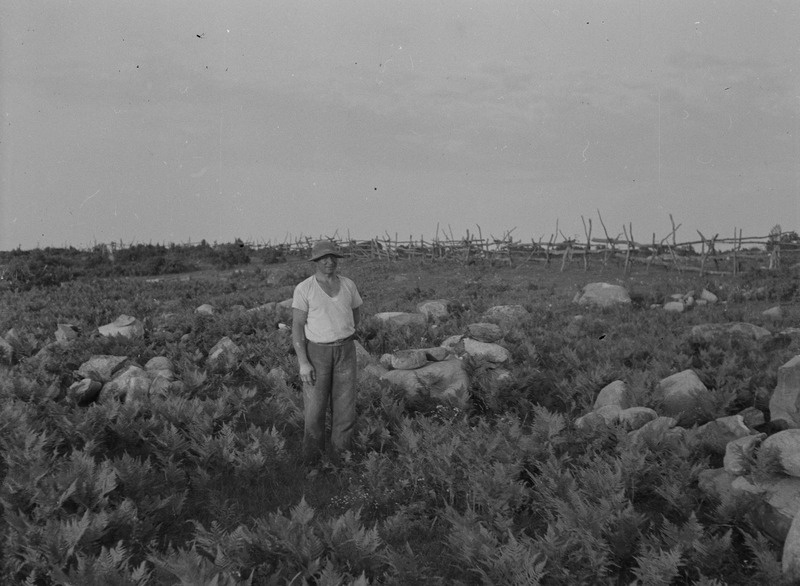 Lõpi küla peremees Gustav Kull oma karjamaal, mis peale kivide kõrvaldamist tehakse põlluks, Karja khk