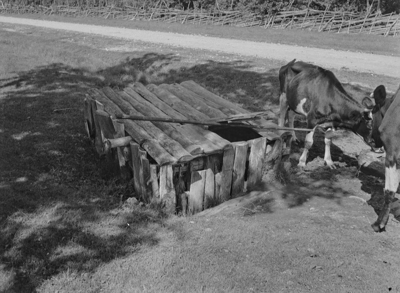 Karjakaev, Sauna(?) k, Anseküla khk