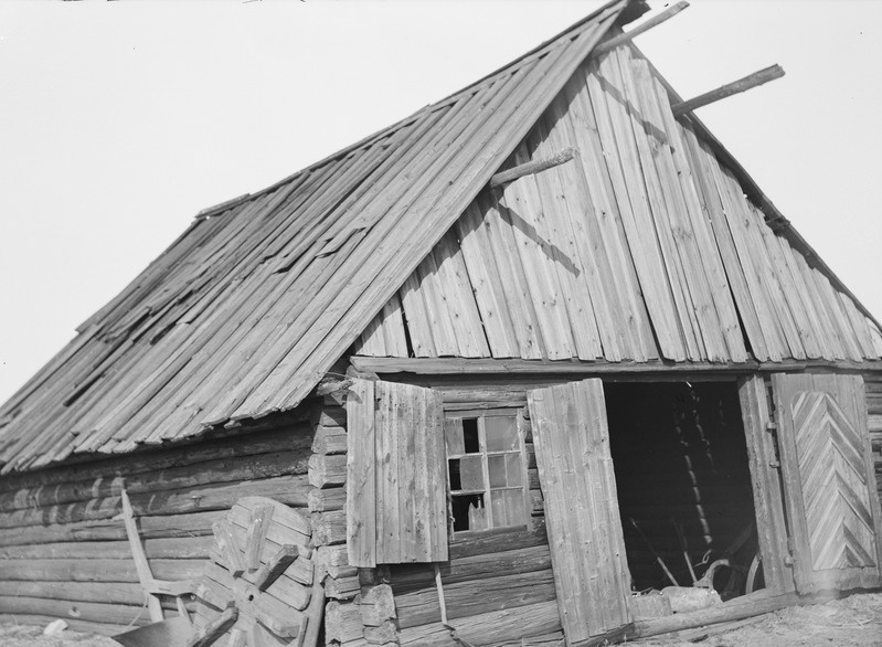 Peeter Orava sepikoda Paju talus, Kallivere, Eesti-Ingeri