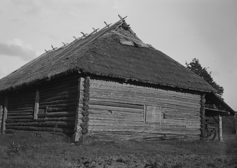 Pilli talu rehi Väikülas, Eesti-Ingeri