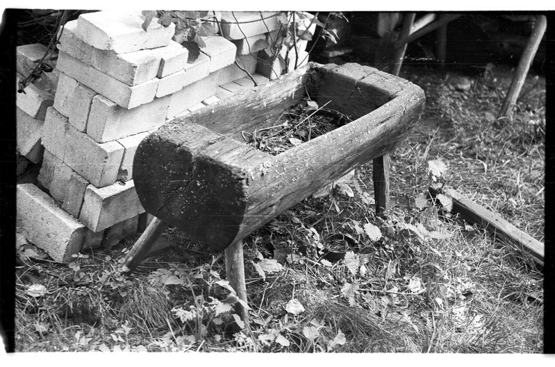 Mold, Uuri, Mardi talu