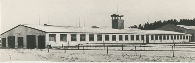 Foto. Pärivere sovhoosi Karu farm, mis 1975.a. tulemuste põhjal tunnistati vabariigis puhtuselt kolmandaks laudaks.