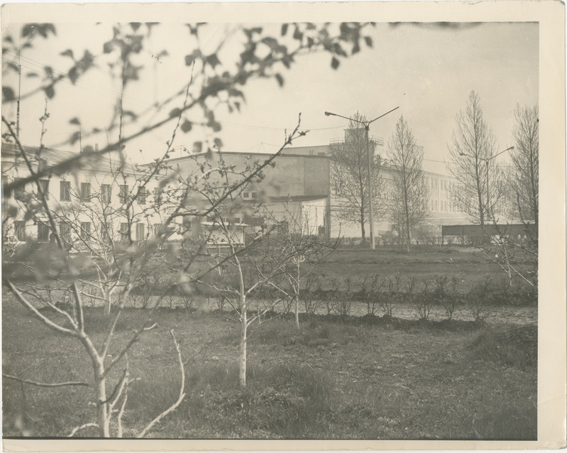 Foto. Pärnu Kalakombinaat.