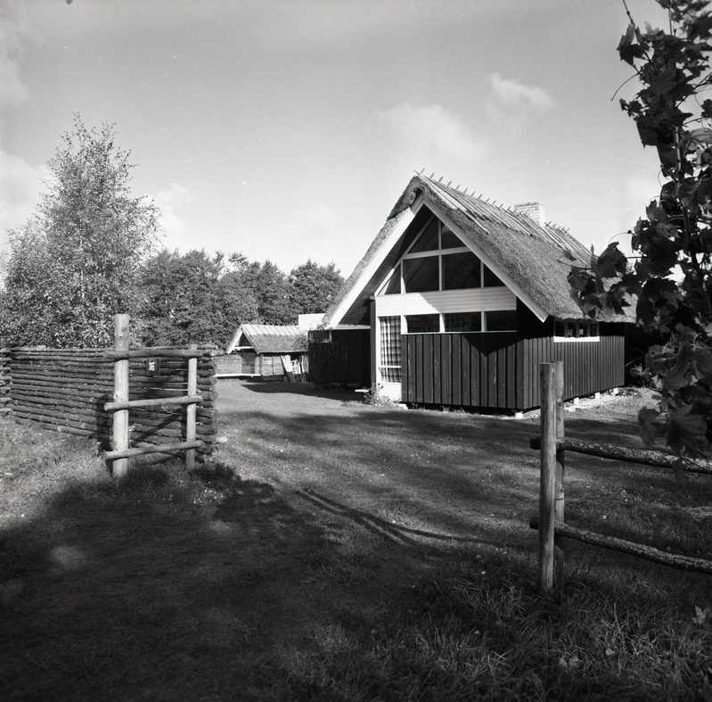 Suvila Rannamõisa suvilakooperatiivis Romantik. Maja nr 36. EAL 1986 fotokonkurss, foto seeriast 36/62