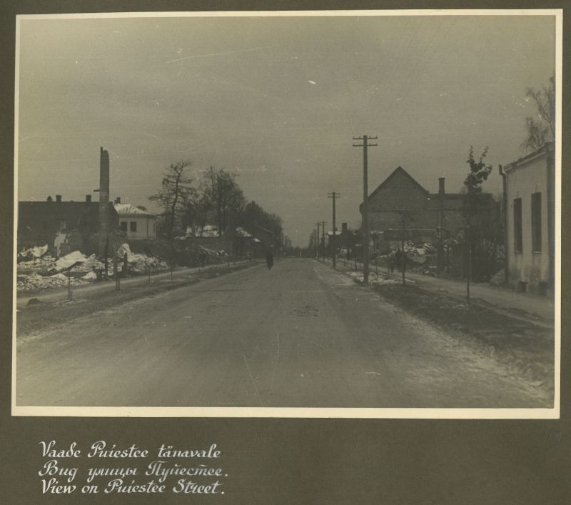 View on Puiestee Street