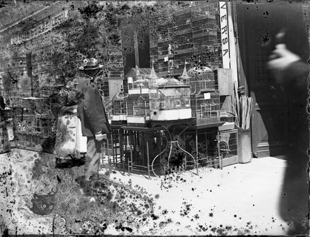 Marchand d'oiseaux, quai du Louvre, Paris, juillet 1892
