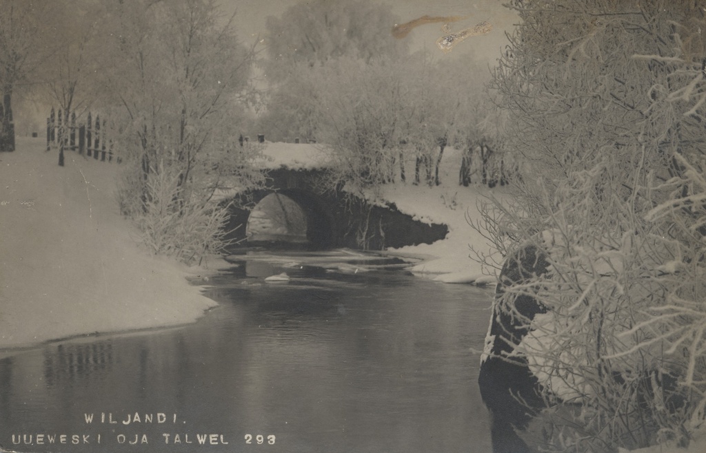 Wiljandi Uueweski stream winter