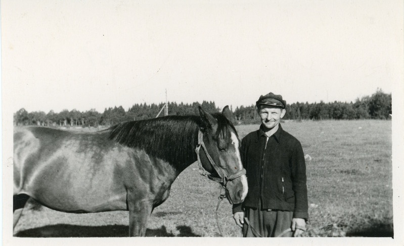 Johan-Herbert Jürimäe