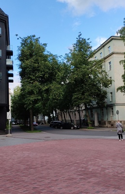 Revolutionary Jaan Anveld Bustmonument on Lomonossov Street. rephoto