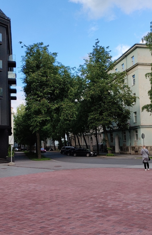 Revolutionary Jaan Anveld Bustmonument on Lomonossov Street. rephoto