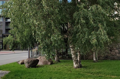 Flower shop in Tallinn on the crossroads of V. Reiman and Gonsiori Street. Outdoor view. rephoto