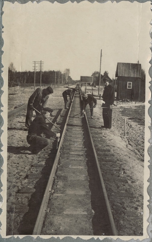 Tallinn-Väike teejaoskond: Randeri (paremal) brigaad Saku piirkonnas teetöötaja Nefjodovi meetodil põkke tervendamas, sügis 1954, foto: Oskar Sildam.