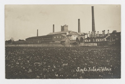 Sindi Cleaner Factory  duplicate photo