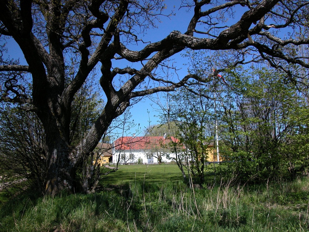 Østensjø gård, søndre og nordre (Oslo)