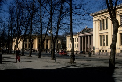 None  duplicate photo