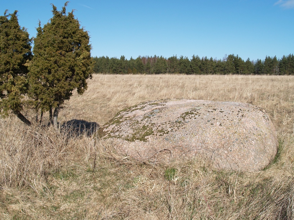 Kultusekivi Ridasi külast