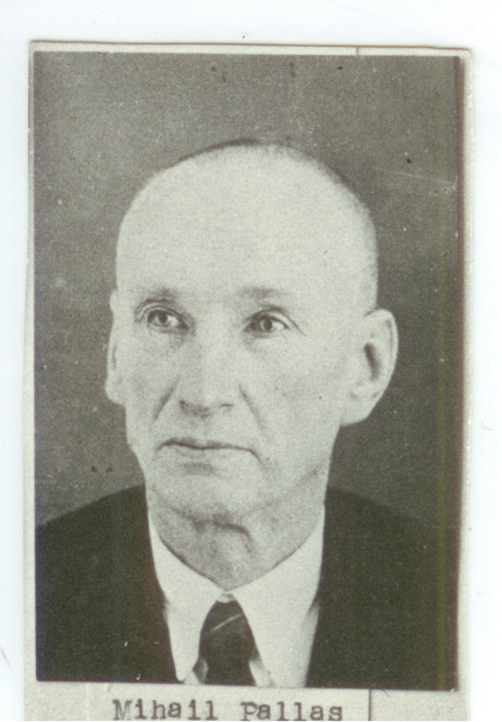 Mihail Pallas