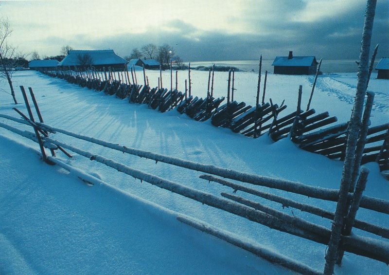 Postkaart. Hanila muuseumi õnnitluskaart Läänemaa muuseumile jõuludeks ja uueks aastaks 20.12.1994